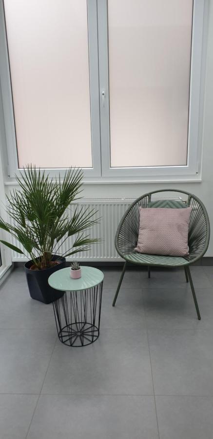 Apartment Villa Ksenija Ostende Exteriér fotografie